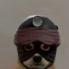 ttvgavo0r6