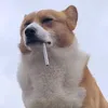 toetvoj