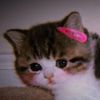 yawnya