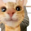 souppzi