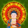 A Di Đà Phật 🙏