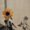 __sun018