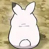 koaji__