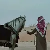 tah_4a