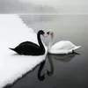 oums_r