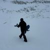 wydreviewz