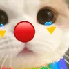meobeo149_