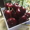 bemcherry