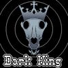darkking8949