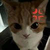 garudawisnu66