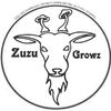 zuzugrowz