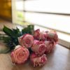 nuoor_4477