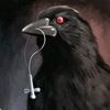 girona_raven
