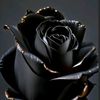 queen_asra8