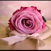 almasa_6