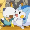 yappo_23x