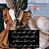 janglibilli049