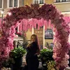 anniina.liisa