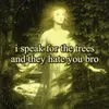 forest_greene