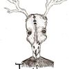 x_taxidermy_x
