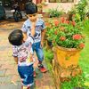 nazinafi_2019