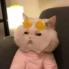 hdoooone