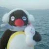 renalmutairi