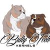 bullytech24