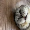 Hướng Nội Đu Phim😃🌷