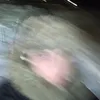 0sseerjj0