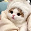 bbyehjn
