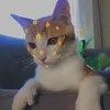 amilie280