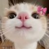 keshninaidoo_