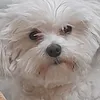 deliciousnugget