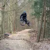 drs_filip