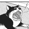 meoowtaindew
