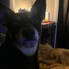 lily789