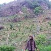efayatul.hidayah13