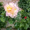lilialilia989