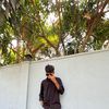 rimas_silmy