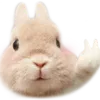 luoixemtiktok
