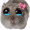 killililykate