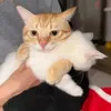 xxxibvhm