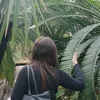 frytkao_0o_0