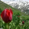 karzan__20