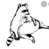 raccoonramhar