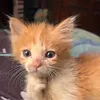 weeeirdooooooooooooo