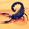 scorpionkingg472