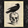 soullessraven1