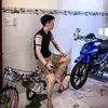 nghia_tt